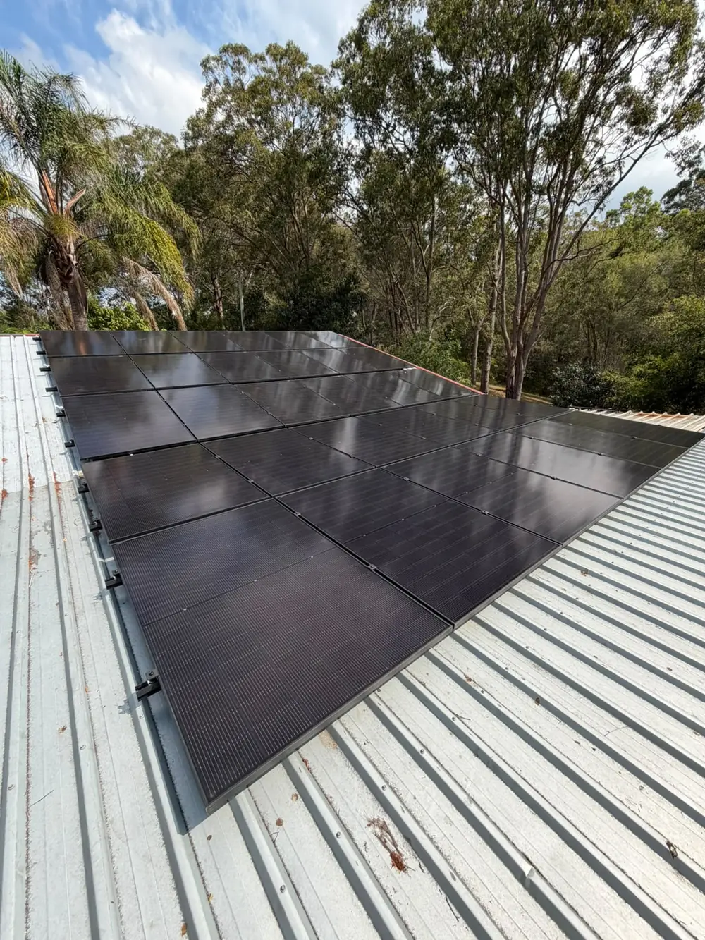 A solar array on a roof surrounded by gum trees